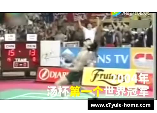 秦奋：NBA职业生涯回顾与个人成就分析