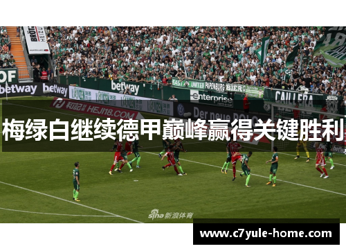 梅绿白继续德甲巅峰赢得关键胜利